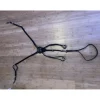 Padd Accessoires>Collier de chasse