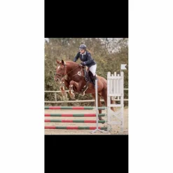 Collier de chasse*Epona Hot