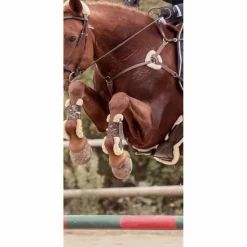 Collier de chasse*Epona Hot