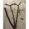 Collier de chasse*- Marque inconnue - Sale