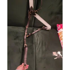 Time Rider Colliers De Chasse>Collier de chasse