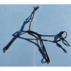 Collier de chasse* Best