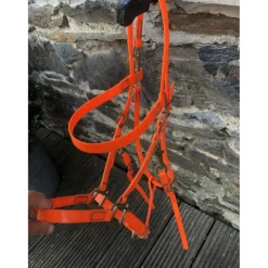 - Marque inconnue - Colliers De Chasse>Collier de chasse + bridon BIOTHANE