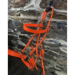 - Marque inconnue - Colliers De Chasse><noscript><img width=