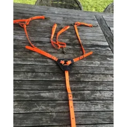 - Marque inconnue - Colliers De Chasse><noscript><img width=
