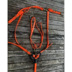 - Marque inconnue - Colliers De Chasse><noscript><img width=