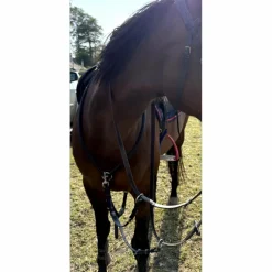 Antares Colliers De Chasse>Collier de chasse + martingale