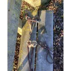 Collier de chasse + martincgale 5 points havane **Devoucoux Discount