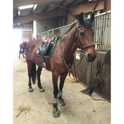 Prestige Colliers De Chasse>Collier de chasse + martingale