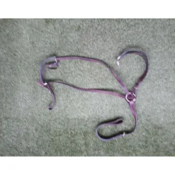 - Marque inconnue - Colliers De Chasse><noscript><img width=