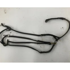 Collier de chasse + martingale*Herve Godignon - Jump'in Best