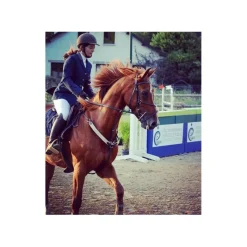 HFI Colliers De Chasse>Collier de chasse + martingale cuir et élastiques beige