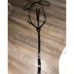 Collier de chasse + martingale*Horze Best