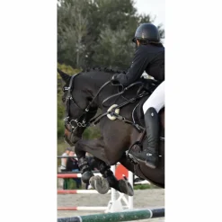 Collier de chasse 5 points noir taille Cheval*- Marque inconnue - Best