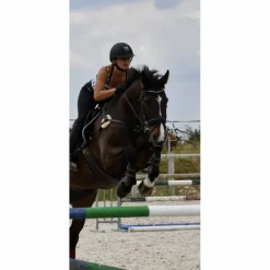 Collier de chasse 5 points noir taille Cheval*- Marque inconnue - Best