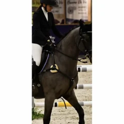 Collier de chasse 5 points noir taille Cheval*- Marque inconnue - Best