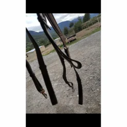 Collier de chasse 5 points*- Marque inconnue - Best
