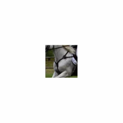 Time Rider Colliers De Chasse>Collier de chasse 5 points