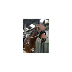 collier de chasse 5 points d'attaches*CSO Clearance
