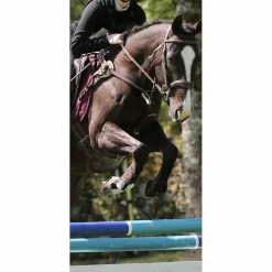 Collier de chasse 5 points*QHP Hot