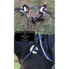 Collier de chasse 5 points*- Marque inconnue - Clearance