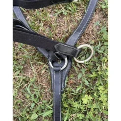 Collier de chasse 5 points*- Marque inconnue - Clearance