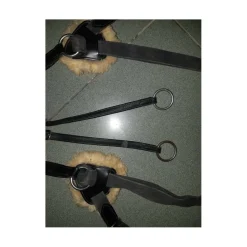 HFI Colliers De Chasse><noscript><img width=