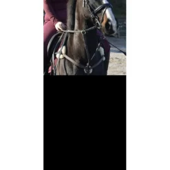 collier de chasse 5 points*HKM New