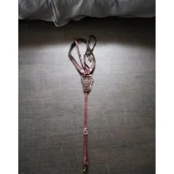 Colliers De Chasse>Collier de chasse After Riding Polo