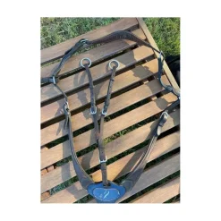 Collier de chasse Antares* Best
