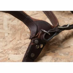 Antares Colliers De Chasse><noscript><img width=