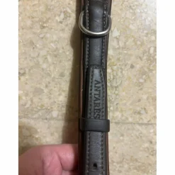 Antares Colliers De Chasse><noscript><img width=