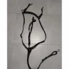 Norton Colliers De Chasse>Collier de chasse avec martingale amovible