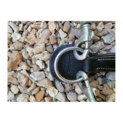 Eric Thomas Colliers De Chasse><noscript><img width=