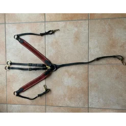 Collier de chasse avec martingale*HFI