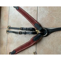 Collier de chasse avec martingale*HFI