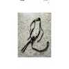 Collier de chasse avec martingale*Fouganza Online