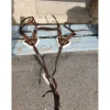 collier de chasse avec martinguale*- Marque inconnue - Online