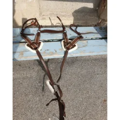 collier de chasse avec martinguale*- Marque inconnue - Online