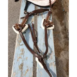 collier de chasse avec martinguale*- Marque inconnue - Online