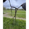 collier de chasse avec raccord ( martingale)*Eric Thomas Hot