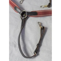 JMR Colliers De Chasse><noscript><img width=