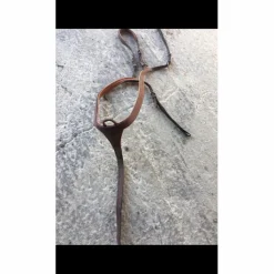 Collier de chasse*Butet Hot