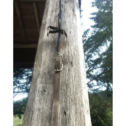 collier de chasse combiné martinguale anneaux*- Marque inconnue - Discount