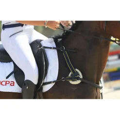 Collier de chasse*CSO Sale