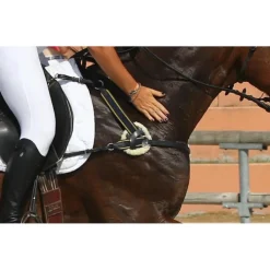 Collier de chasse*CSO Sale