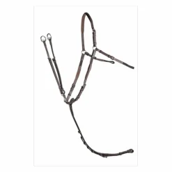 Collier de chasse*CWD Outlet