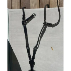CWD Colliers De Chasse><noscript><img width=