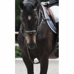 Collier de chasse*CWD Best