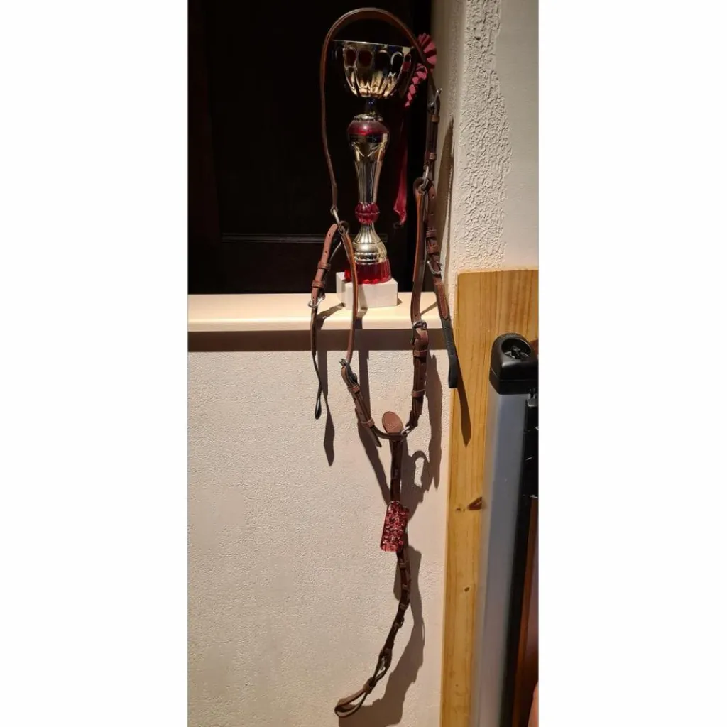 CWD Colliers De Chasse>Collier de chasse Neuf